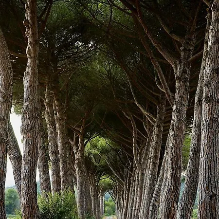 Farmház Borgo Campetroso *